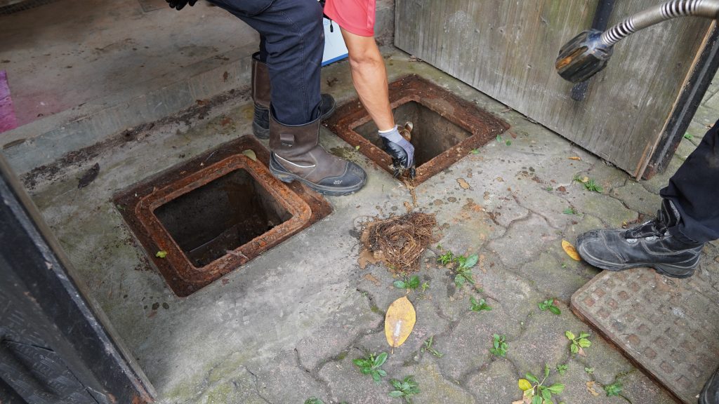 underground pipe inspection